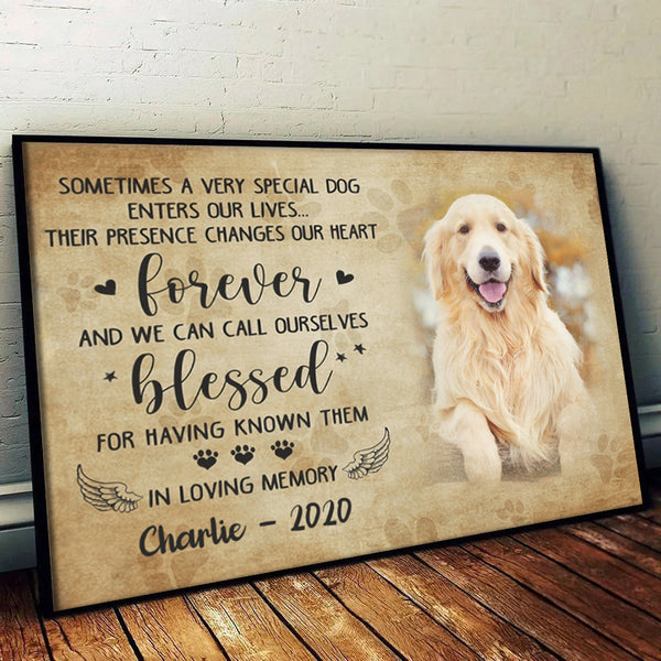 Custom Photo Sometimes A Very Special Dog Enter Our Lives - Personalized Canvas - Memorial Gift For Dog Lovers, Cat Lovers, Pet Lovers