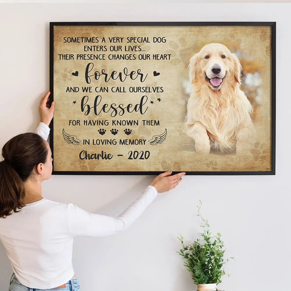 Custom Photo Sometimes A Very Special Dog Enter Our Lives - Personalized Canvas - Memorial Gift For Dog Lovers, Cat Lovers, Pet Lovers