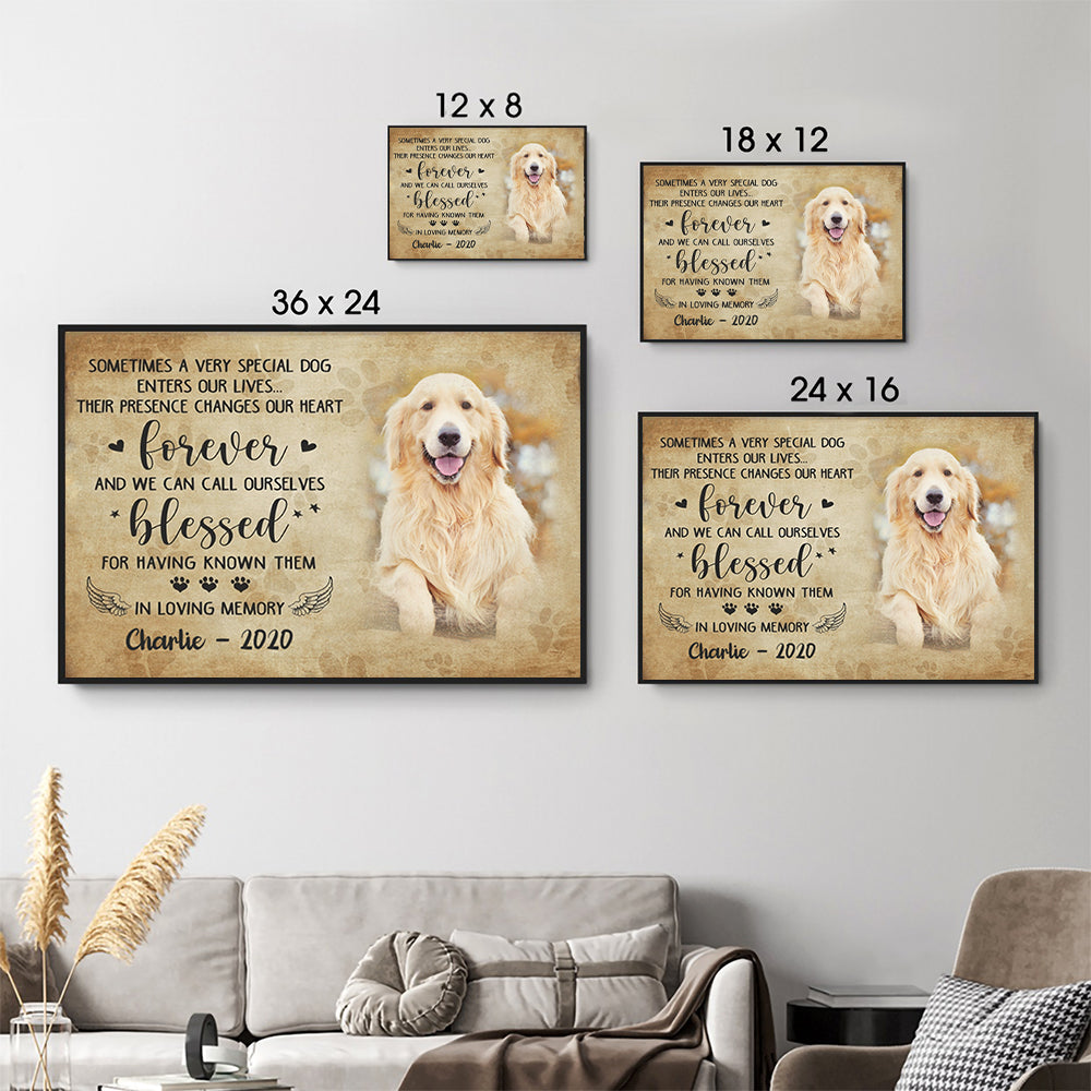 Custom Photo Sometimes A Very Special Dog Enter Our Lives - Personalized Canvas - Memorial Gift For Dog Lovers, Cat Lovers, Pet Lovers